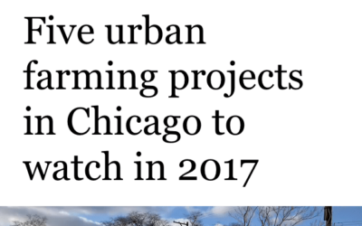 AUA Named One of Five Urban Farming Projects to Watch in 2017: Last Chance to Help Us Reach Our Year-End Fundraising Goal!