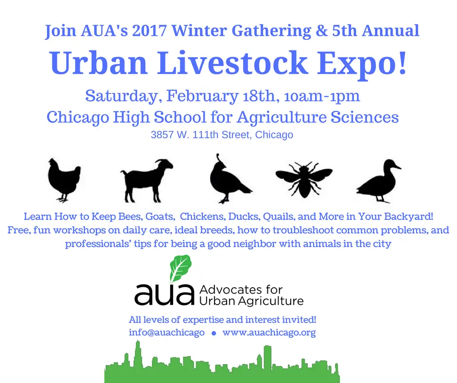 5th-annual-urban-livestock-expo