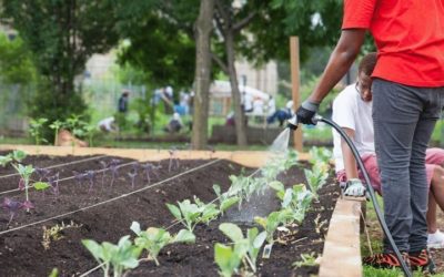Equitable Water Access for Chicago Food Security